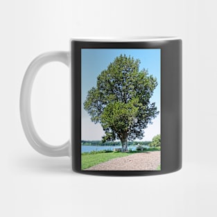 Old Cedar on the Wye River Mug